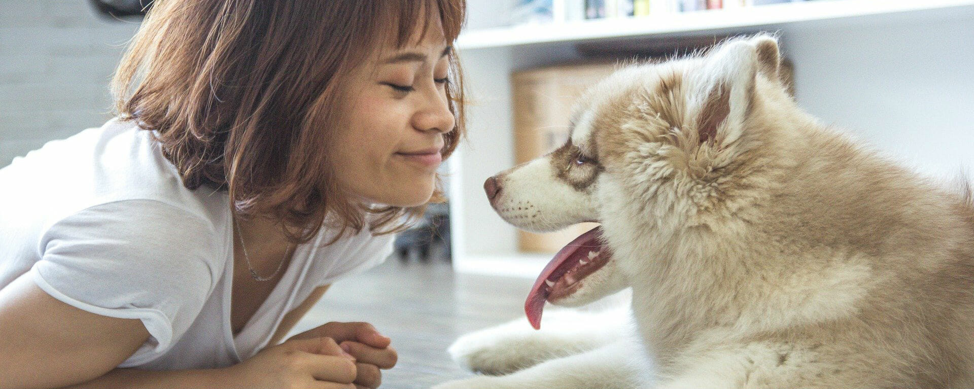 best treats for huskies