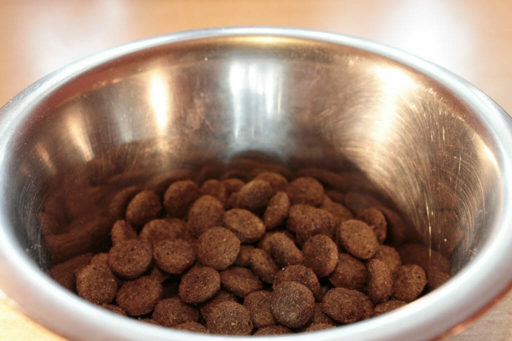 high energy snacks for dogs