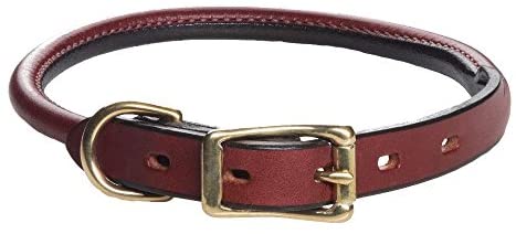 best dog collar for long hair