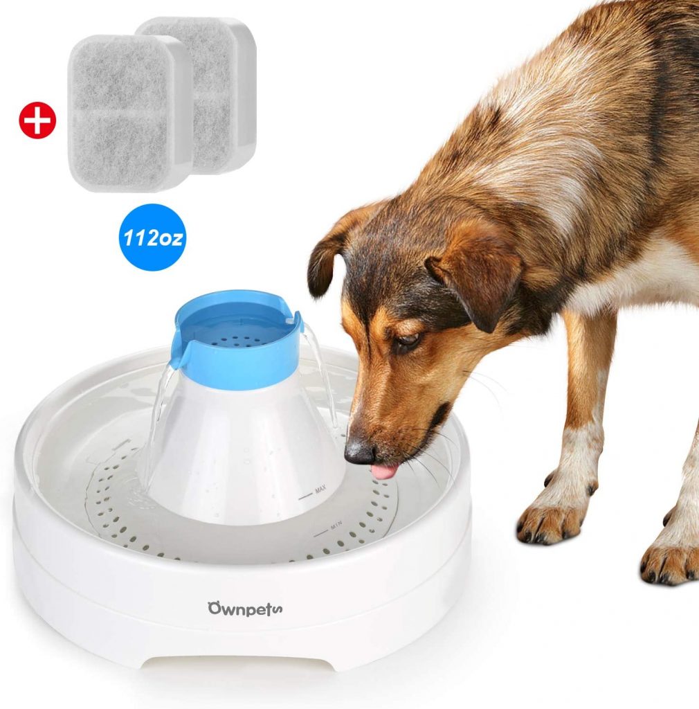 ExtraLarge Dog Water Fountain 5 Best Options for the Money (2022