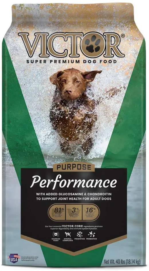 Best Dog Food For Hip Dysplasia Best Protection Dogs